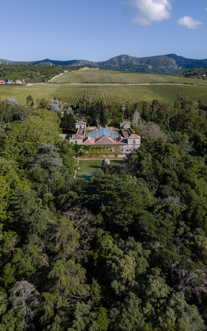 Vista aérea da Quinta das Torres entre vinhas e Serra da Arrábida